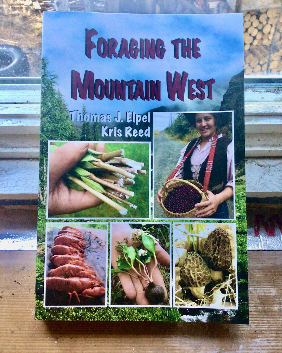 Foraging the Mountain West