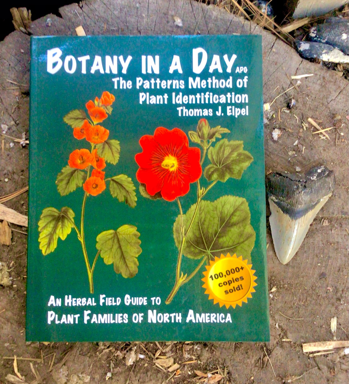 Botany in a Day