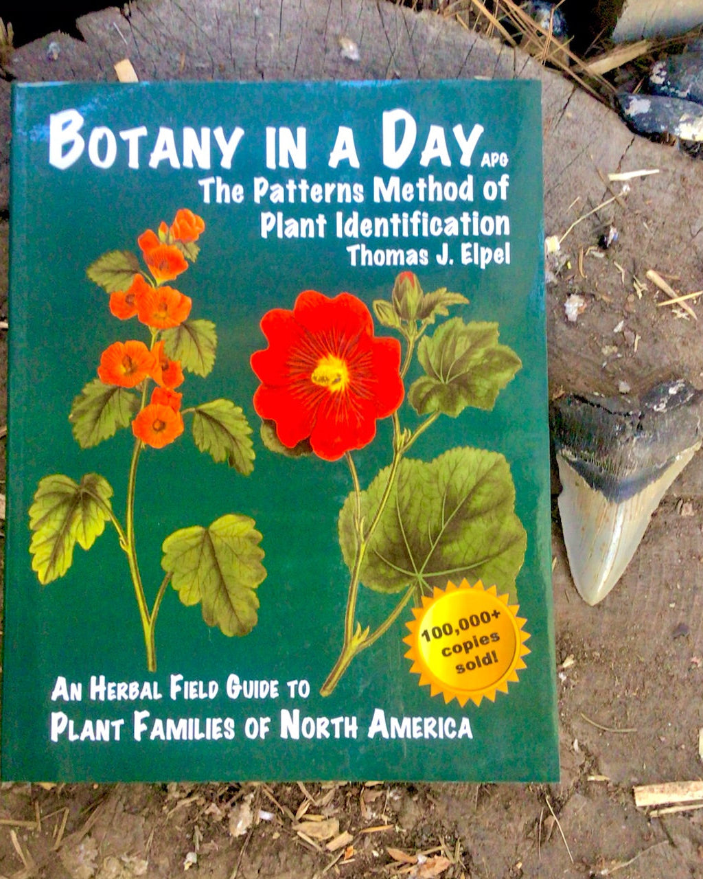 Botany in a Day