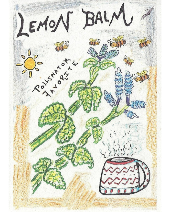 Lemon Balm – Montana Survival Seed