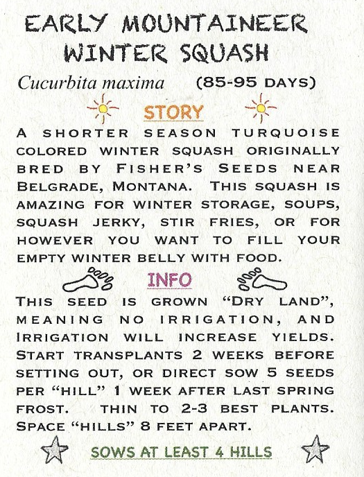 Winter Squash, Early Mountaineer