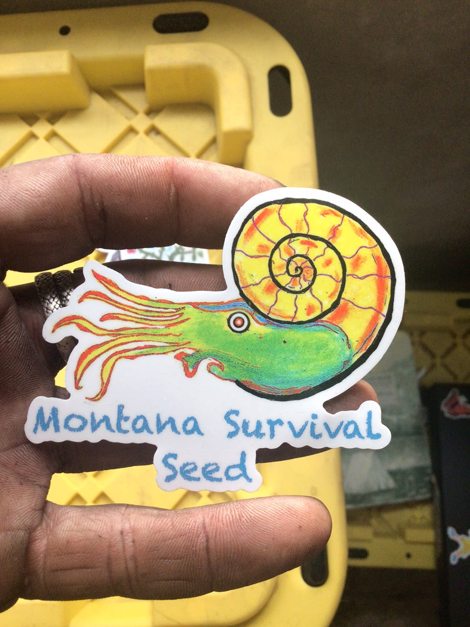 3 inch Ammonite Logo