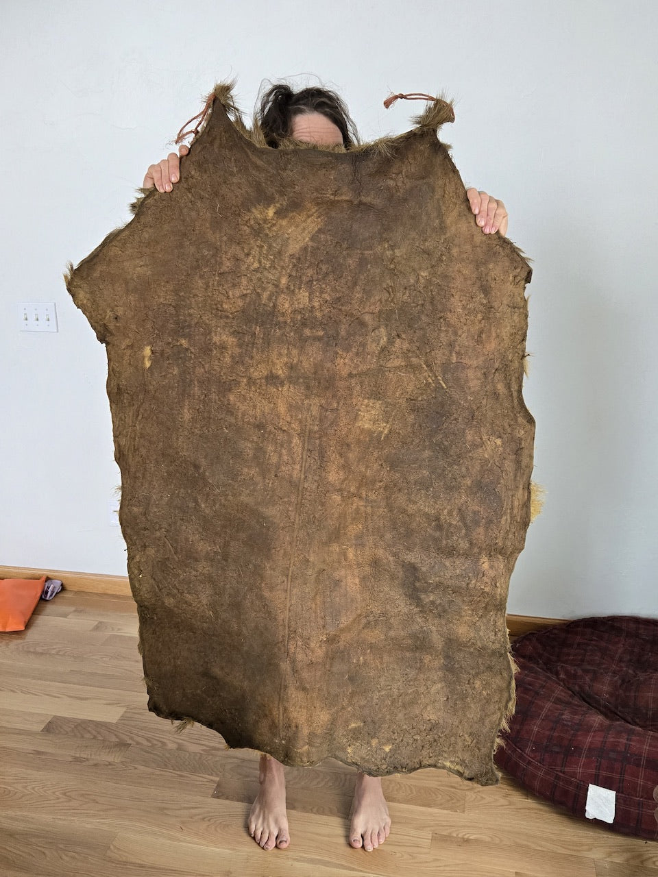 13 square foot Montana Elk barktan