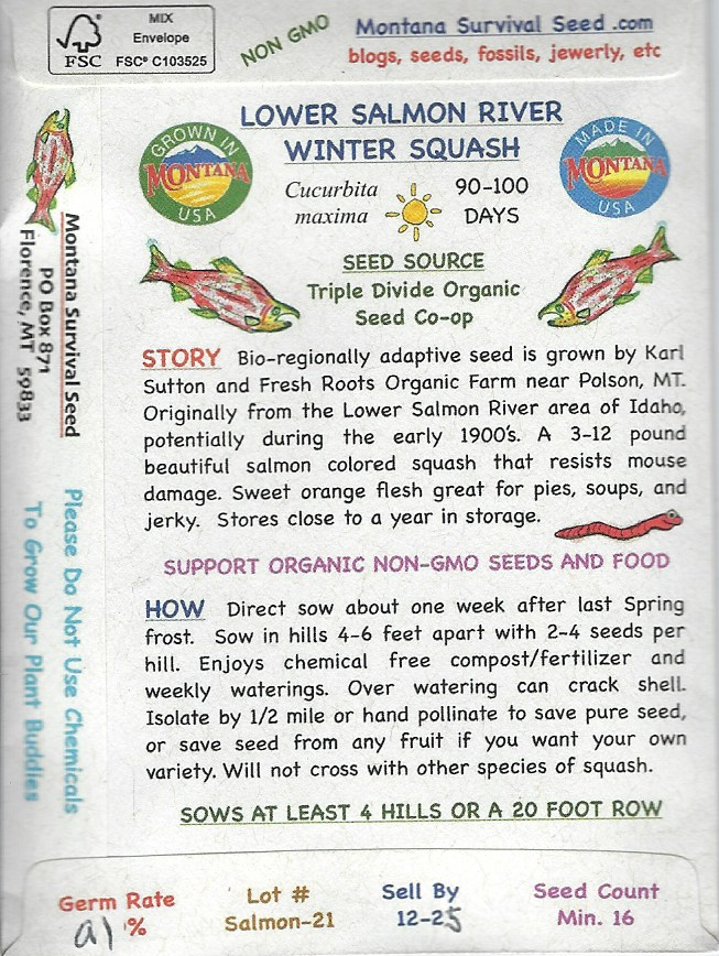 WINTER SQUASH, LOWER SALMON RIVER