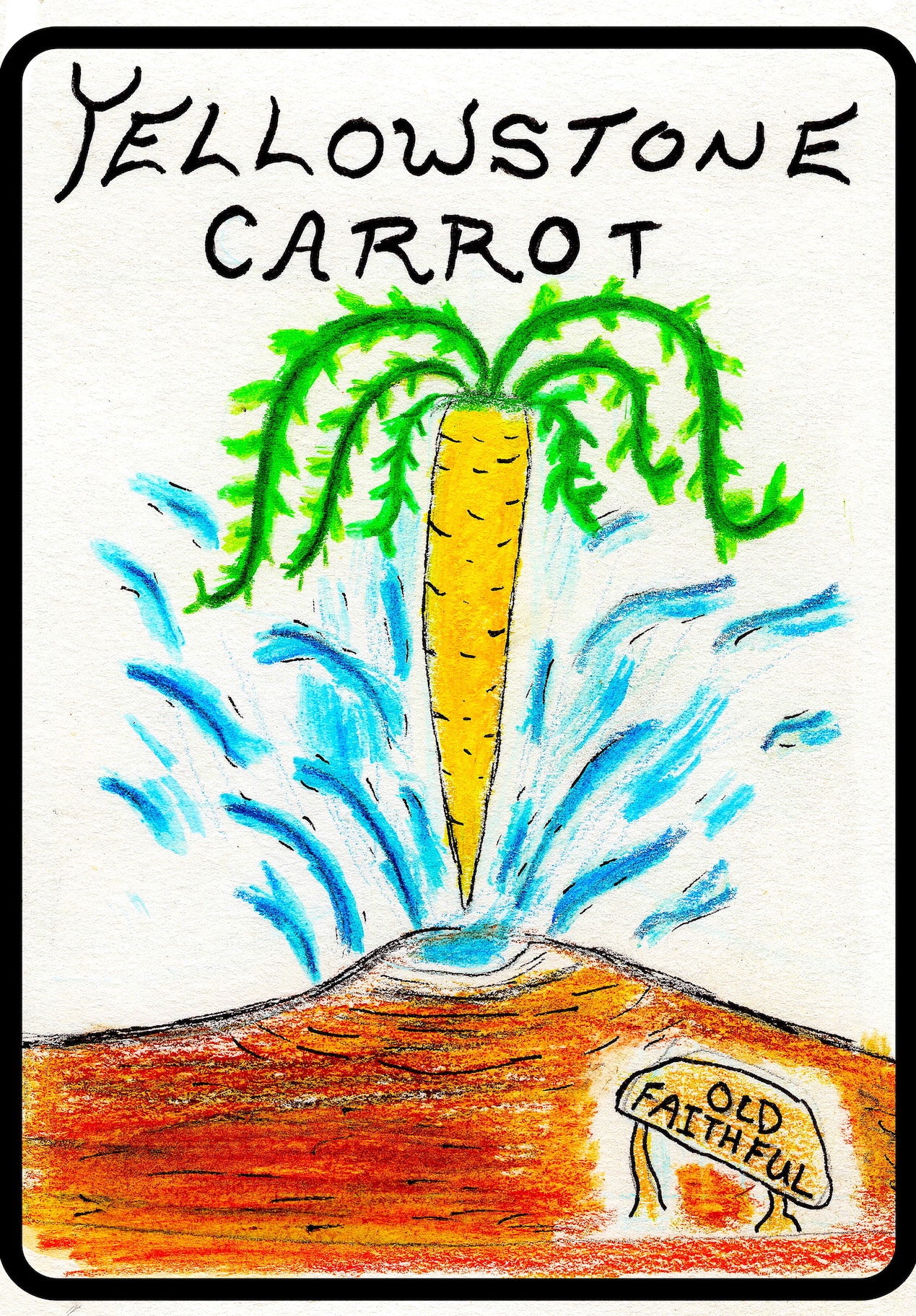 Carrot, Yellowstone