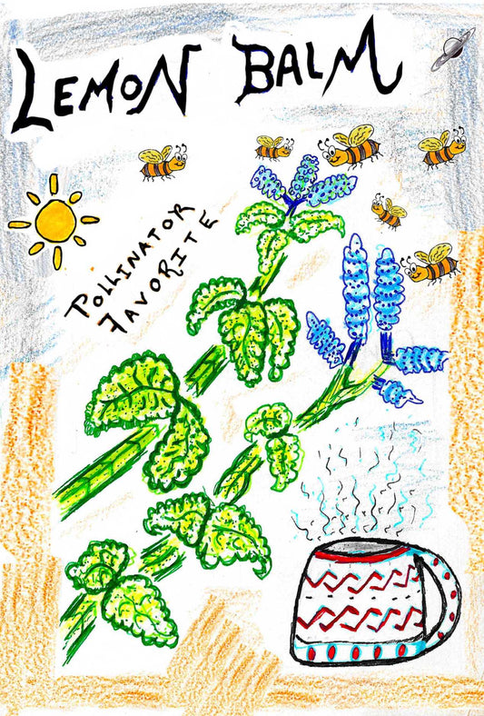 Lemon Balm