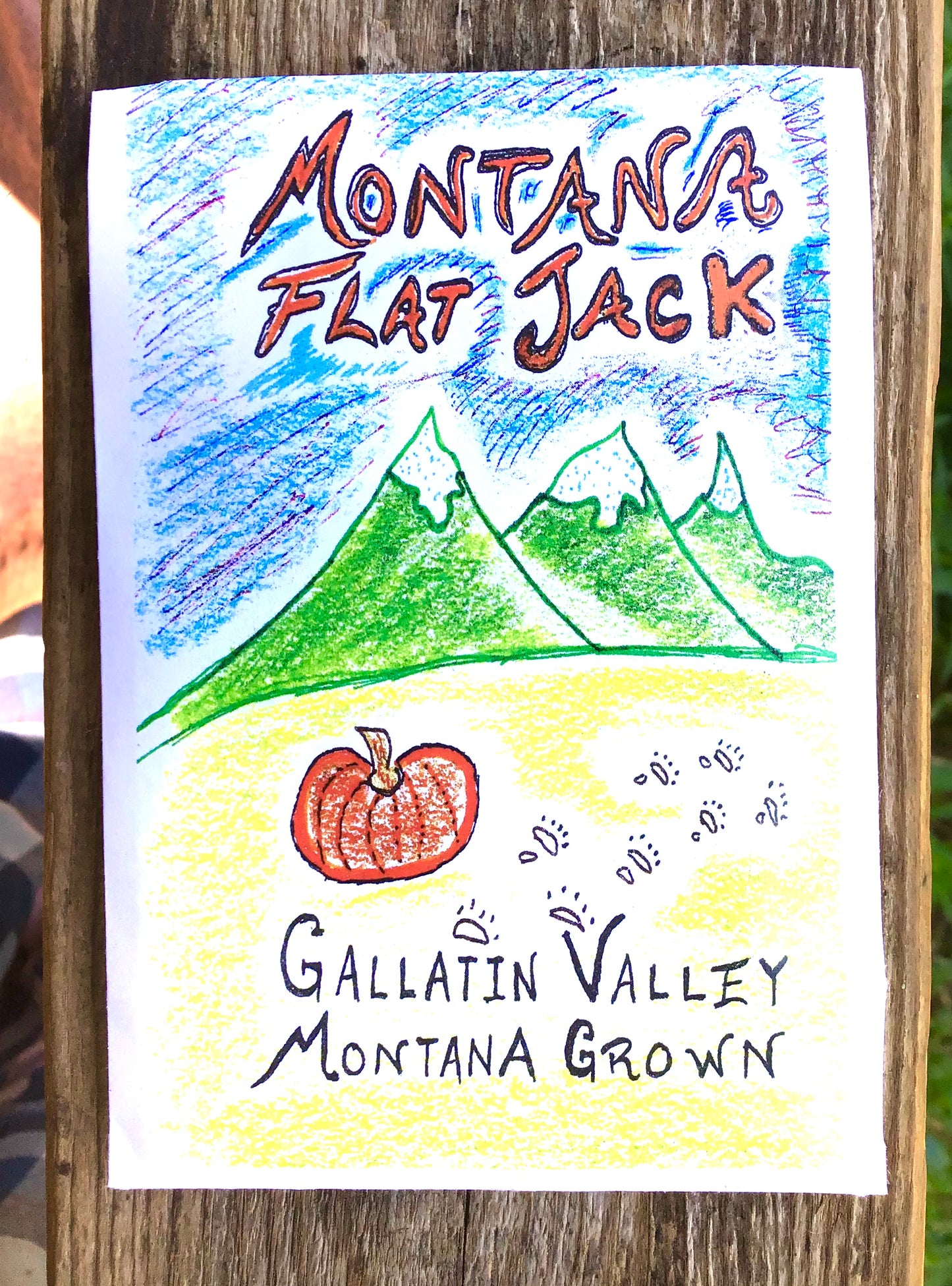 PUMPKIN, MONTANA FLAT JACK