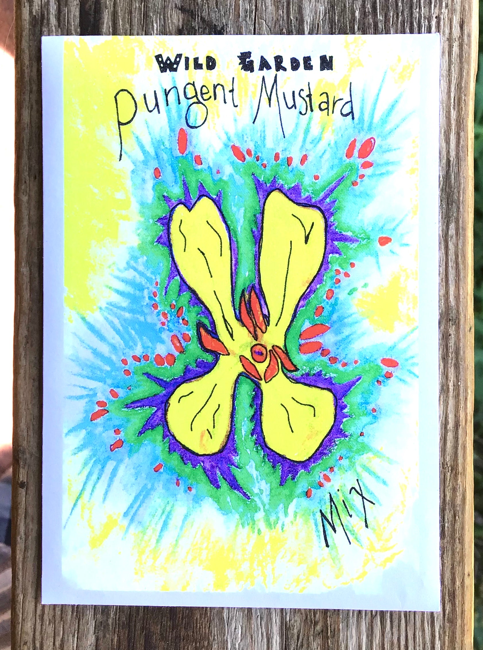 certified organic mustard seed from wild garden seed seeds oregon hand drawn seed packets printed solar power