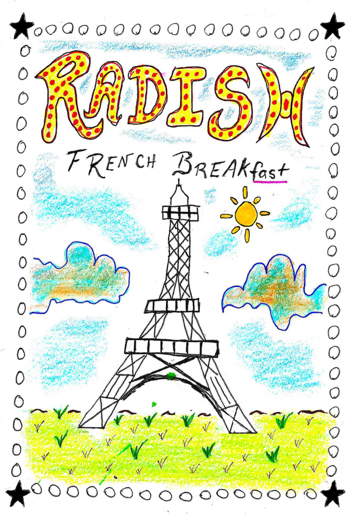 Radish, French Breakfast