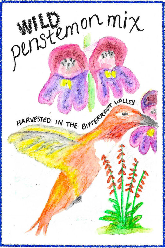 PENSTEMON MIX