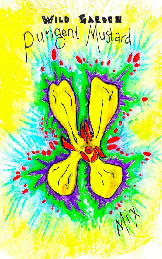 certified organic mustard seed from wild garden seed seeds oregon hand drawn seed packets printed solar power