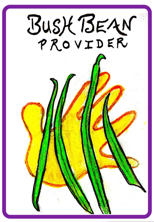 certified organic bush bean provider montana survival seed dill dilly beans disease resistant