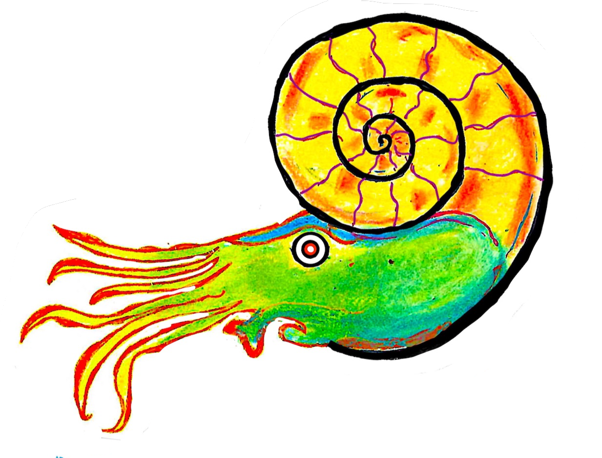 Ammonite Organic Shirt