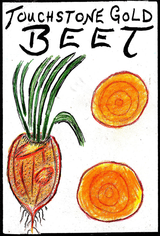 certified organic golden beet seed wild garden seed survival seed montana