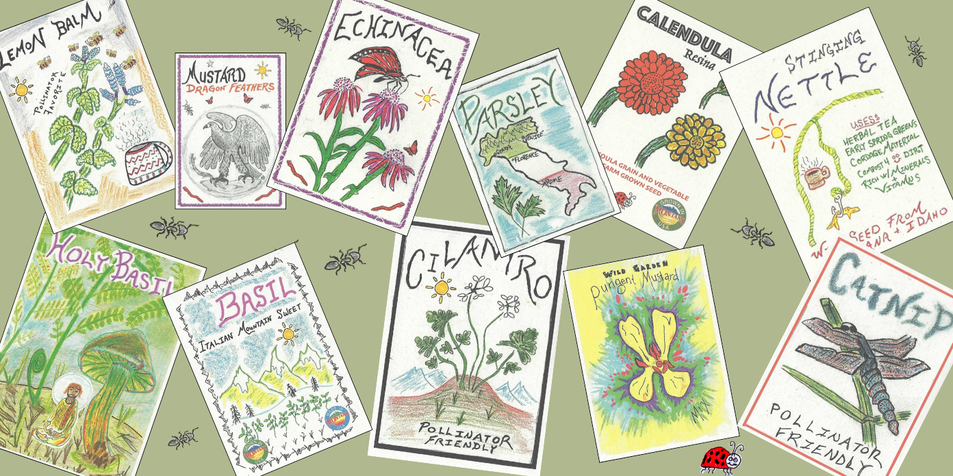 Herbs and Medicinals