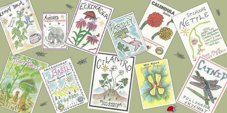 Herbs and Medicinals