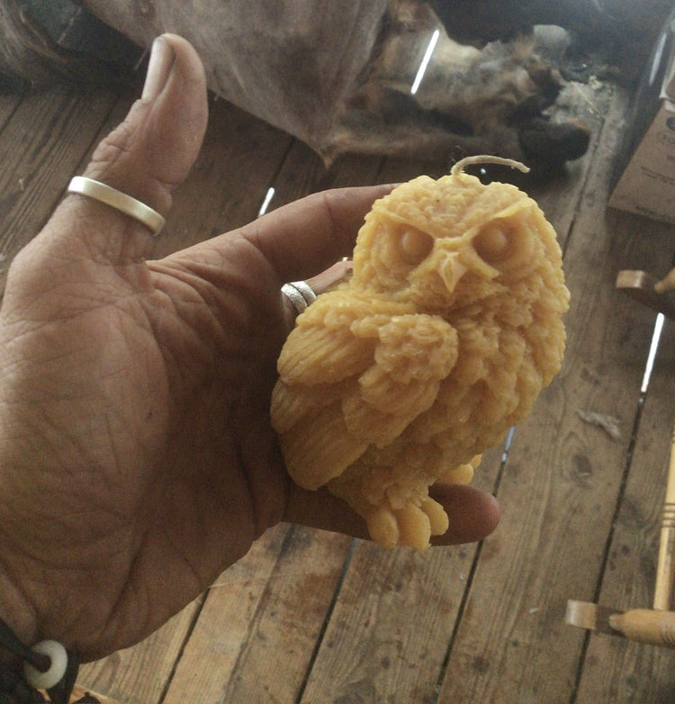 Pygmy owl beeswax candle