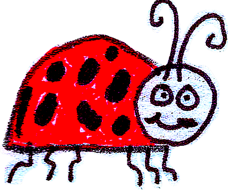 SURVIVAL SEEDS = SURVIVAL FOODS