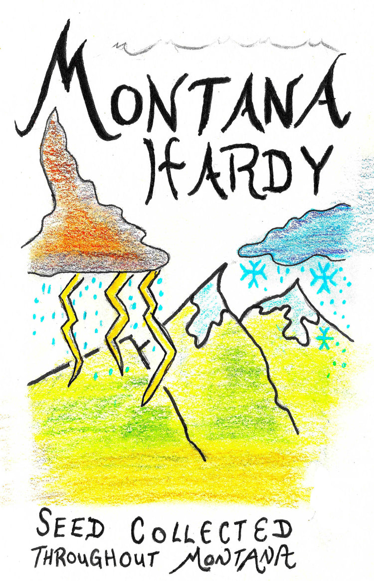 survival seed kit native flowers pollinators