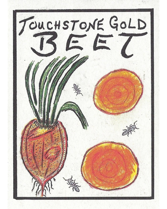 Beet, Touchstone Gold