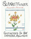 Blanket Flower