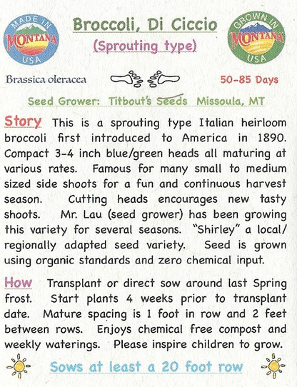 Broccoli, Di Ciccio