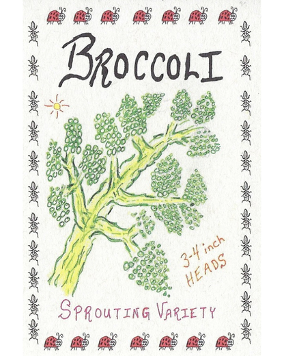 Broccoli, Di Ciccio