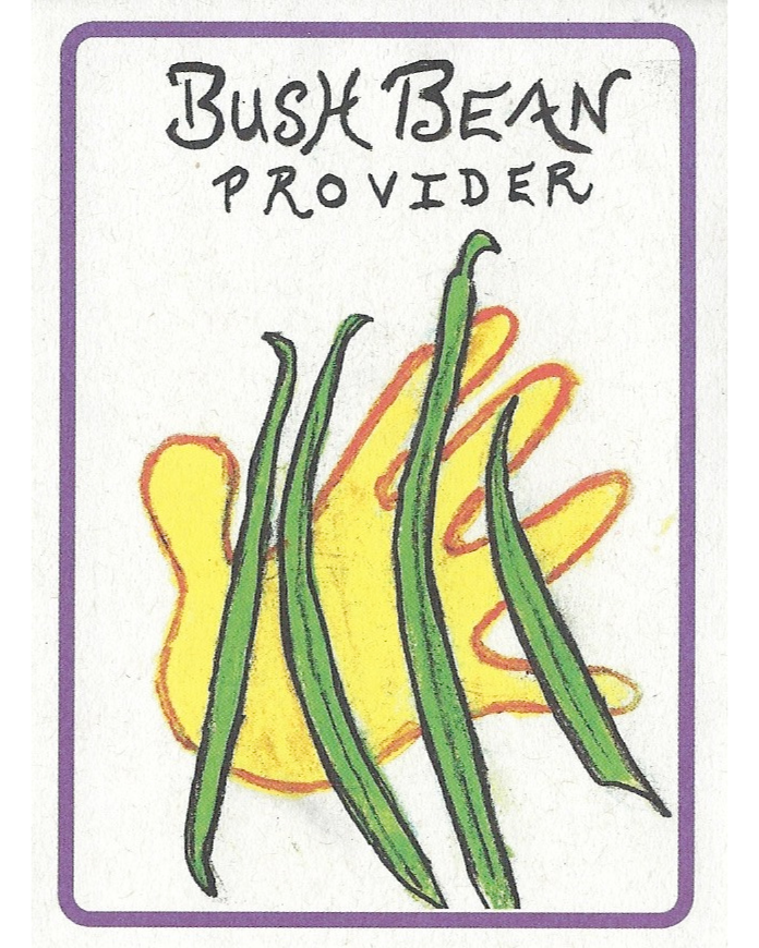 Bean, Provider Bush