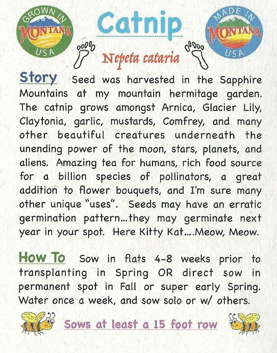 Catnip