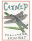 Catnip