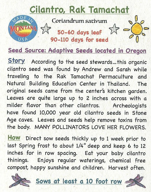 Cilantro, Rak Tamachat