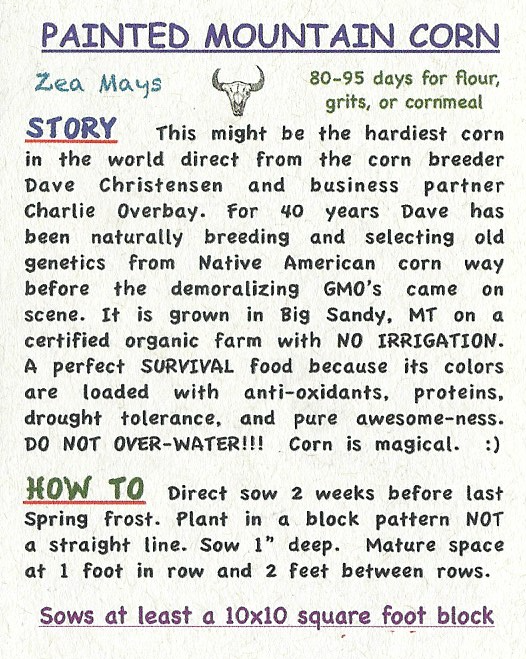 Corn, Painted Mountain