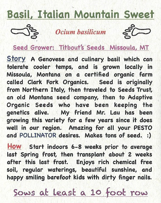Basil, Sweet Mountain Italian