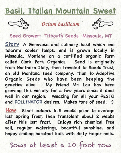 Basil, Sweet Mountain Italian