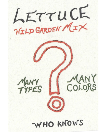 Lettuce, Wild Garden Mix