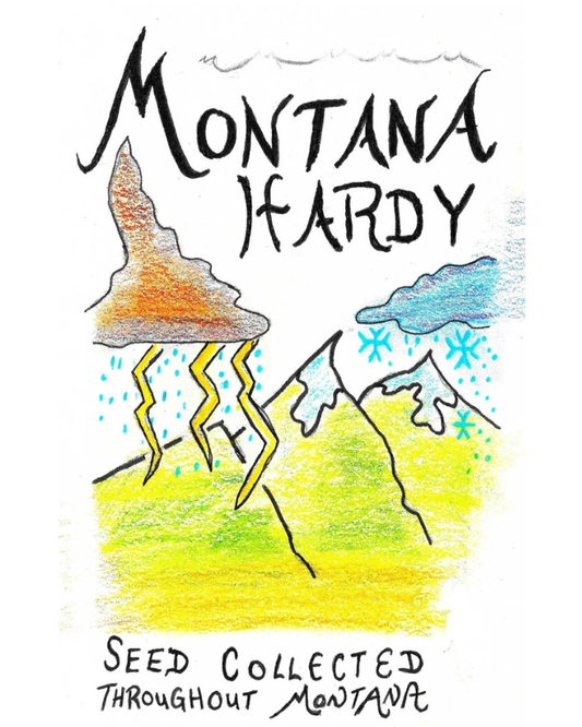 Montana Hardy Pollinator Seed Packet