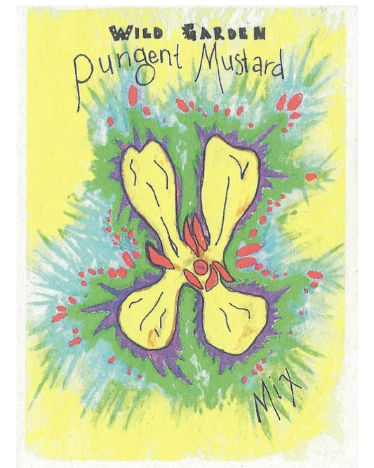 Mustard, Wild Garden Pungent