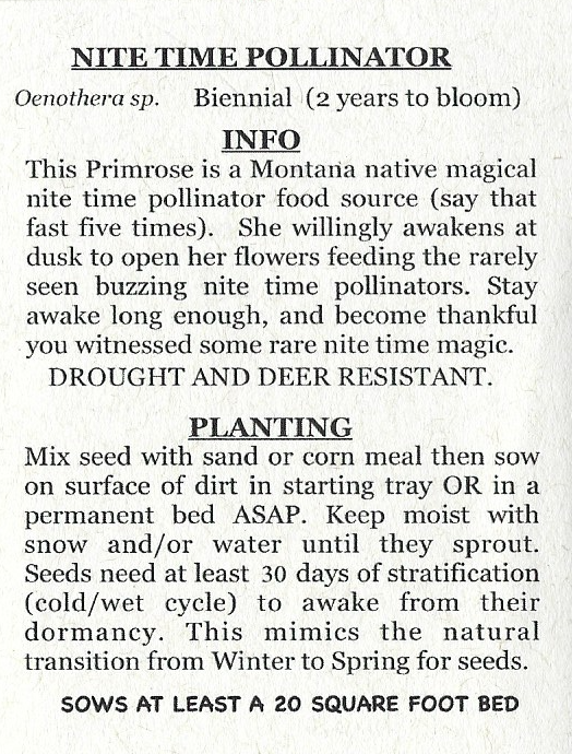 Nite Time Pollinator