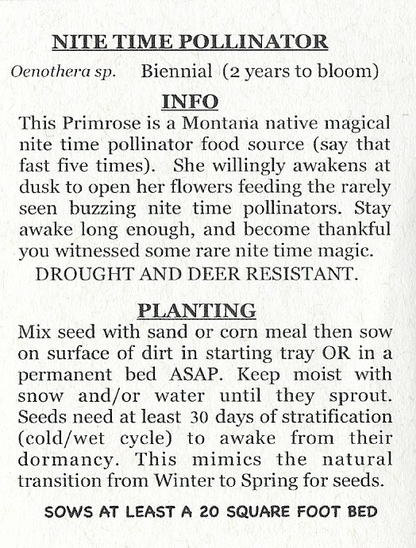 Nite Time Pollinator