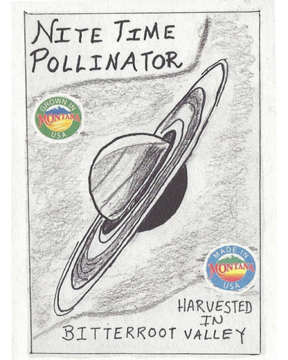 Nite Time Pollinator