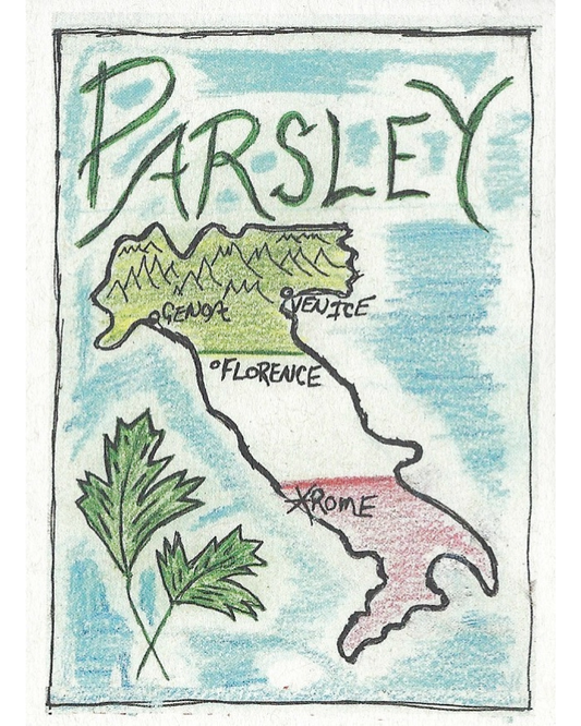 Parsley, Flat Leaf Mix