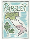 Parsley, Flat Leaf Mix