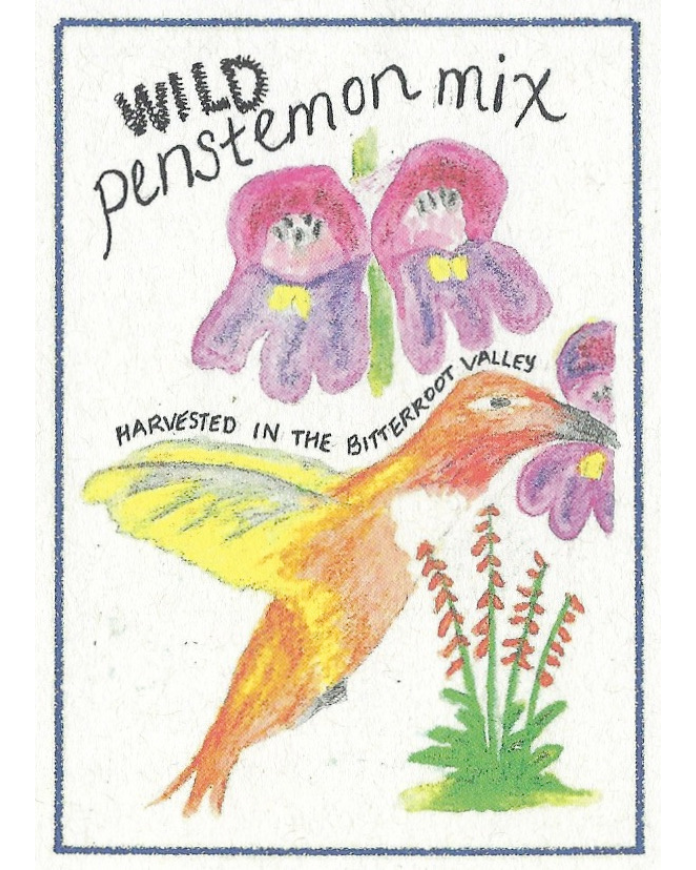 Penstemon Mix, Wild