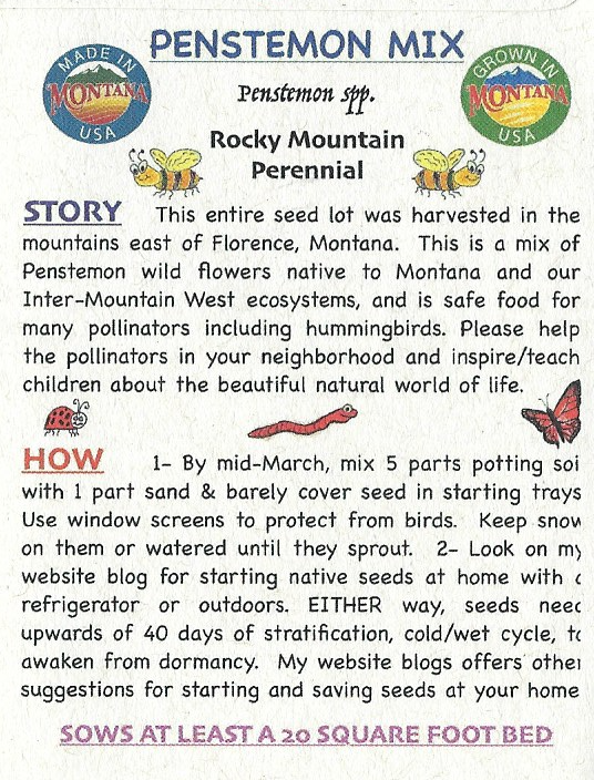 Penstemon Mix, Wild
