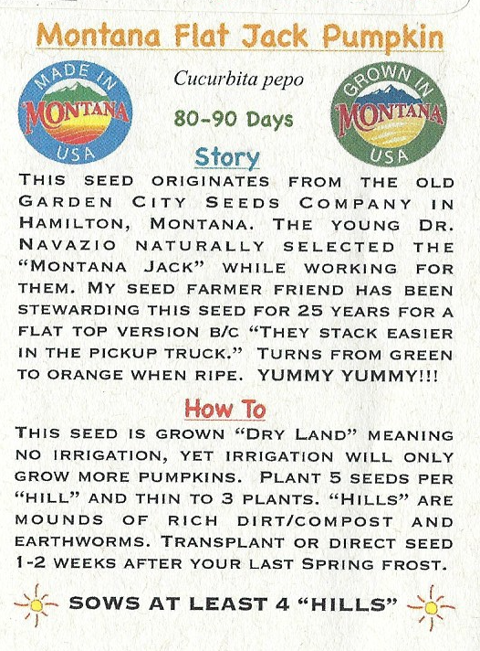 Pumpkin, Montana Flat Jack