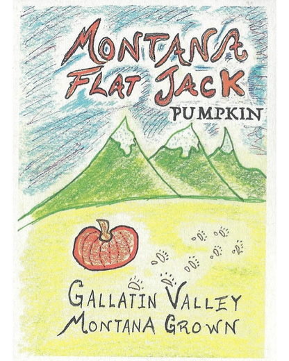 Pumpkin, Montana Flat Jack