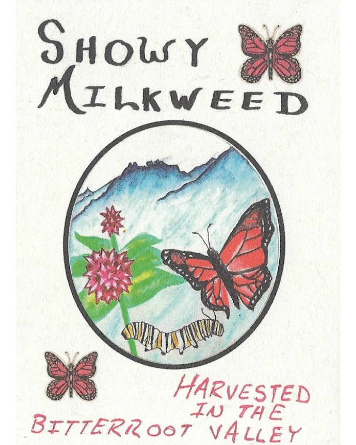 Milkweed, Showy