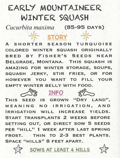Winter Squash, Early Mountaineer