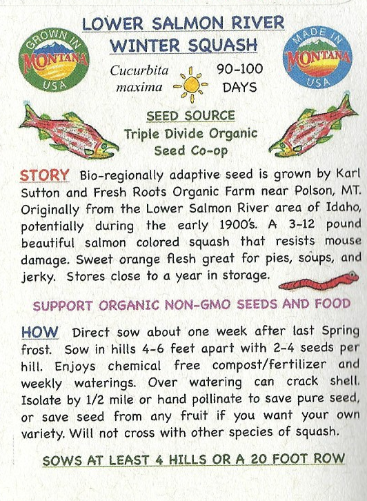 Winter Squash, Lower Salmon River