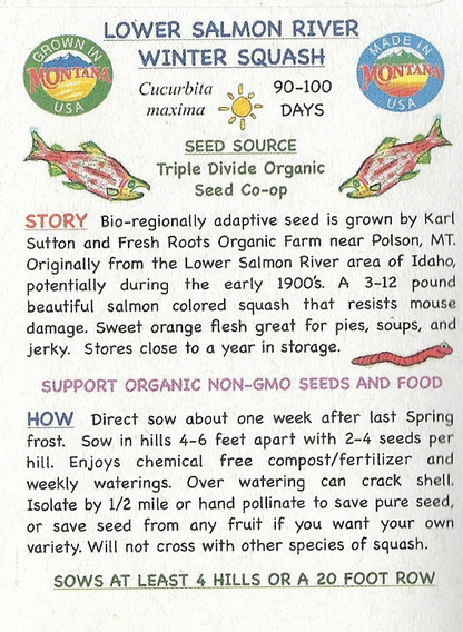 Winter Squash, Lower Salmon River